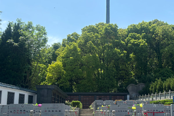 什么是艺术葬，在南京墓地与传统葬式有哪些主要区别？