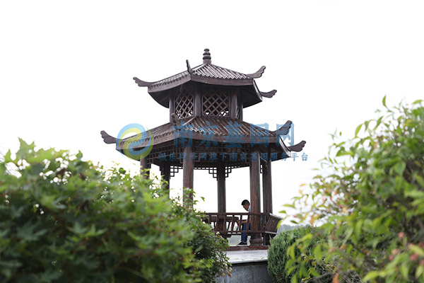 南京公墓墓地的景观设计与生态保护：在记忆与自然的交融中找到宁静
